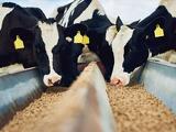 Megszületett az EU első agrár szektoros széndioxid-adója