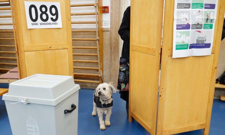 Magyar Péter máris bemondta mit szeretne – A 2025-ös költségvetésben pedig van egy meglepetés