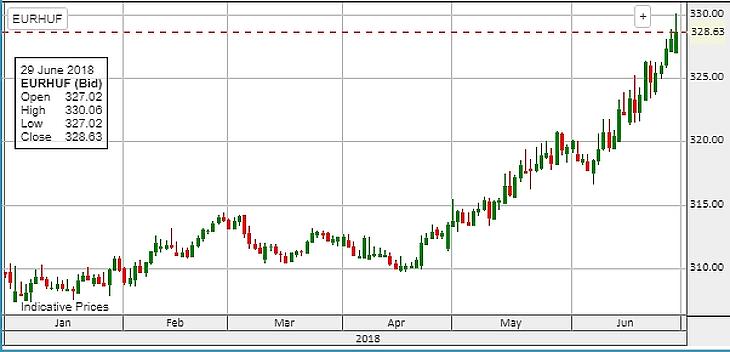 Vágóhídon a forint: készítsd a pénztárcád, te is megfizetsz érte
