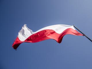 A gombaszedéshez jogunk van - érdekes szempont kapott helyet a lengyel politikában