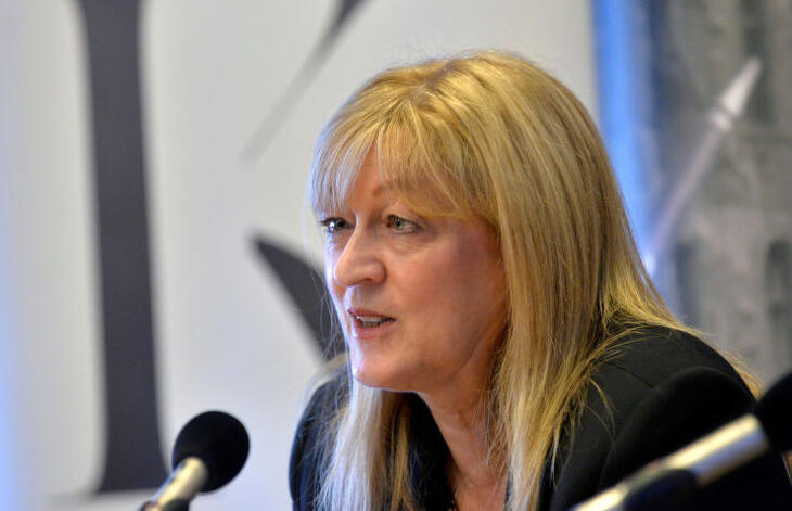 Shcmidt Mária alapítványa tavaly nagyot hasított