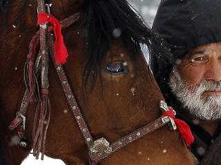A nap képe: ló és gazdája a szomorkás télben