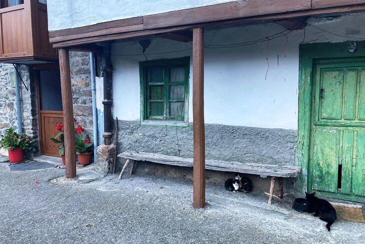 Borzalmas állapotban vannak a családi házak, így képtelenség kifűteni őket