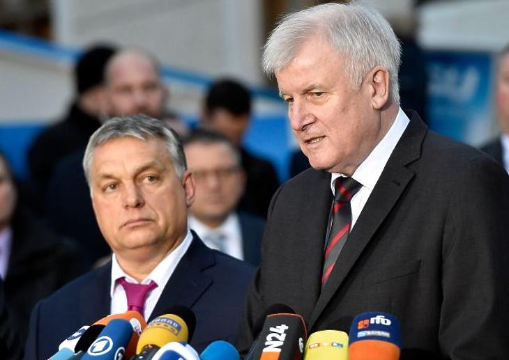 Új barátja van a kormánynak – gyönyörű dolgokat mondtak Orbánról