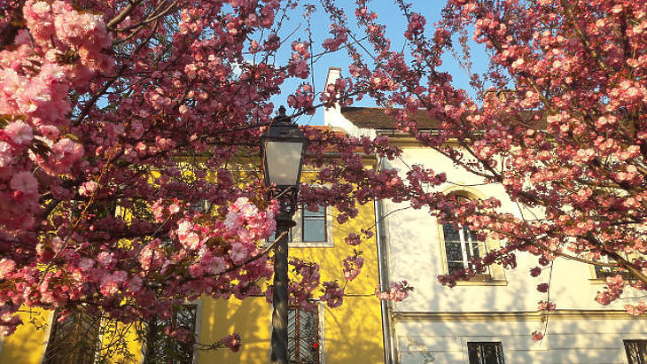 Eső vagy hőség? Most kiderül, milyen idő lesz Magyarországon