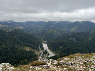Kis-Cohárd