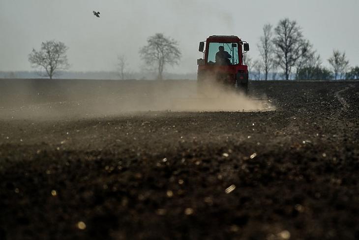 Akár 2 millió tonna gabonát is elvihetett a tavaszi aszály