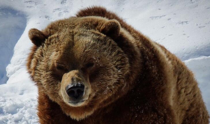 Berezeltek New York-ban Trumpék közlésére