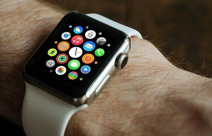 Apple smart watch (Pixabay.com)
