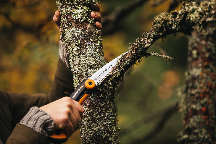 Hasznos tippek a kerti fák ültetéséhez és gondozásához