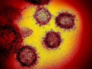 200 fölé nőtt a koronavírusban elhunytak száma