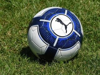 Kisebbet ugrott a Puma