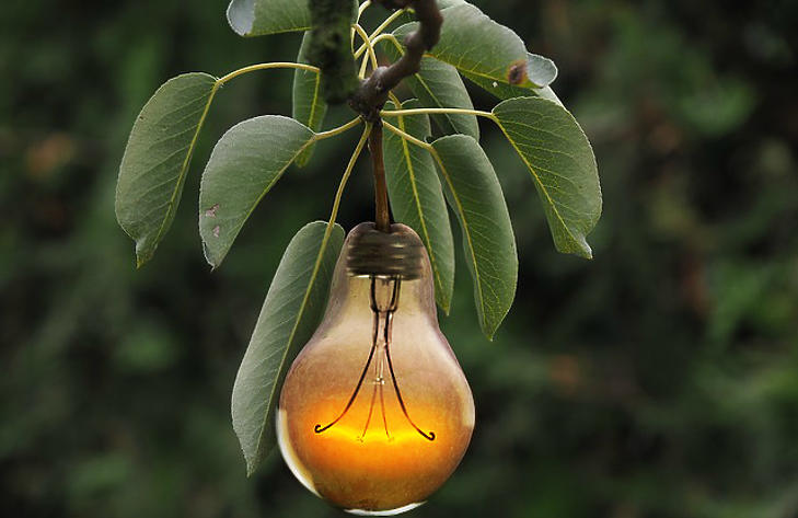 Szépen lehetett kaszálni a legjobb zöldbefektetésekkel