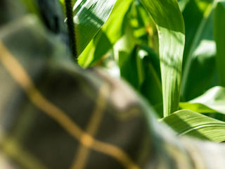 Nincs még minden veszve az MSZP szerint