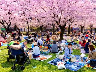 Kellemes meglepetést okozott a japán gazdaság