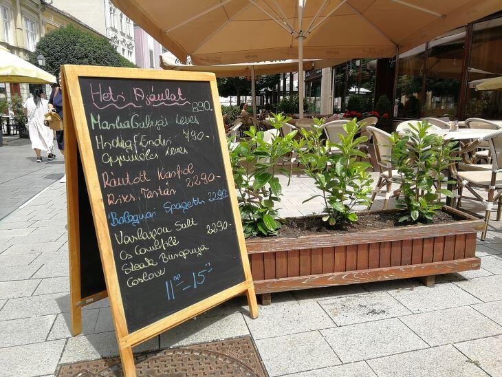 Zsidai Roy nagyon örül Nagy Márton új programcsomagjának