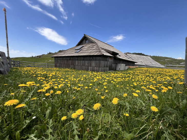 Velika Planina mindig gyönyörű