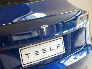 Hollandia remek napot szerzett Elon Musk-nak