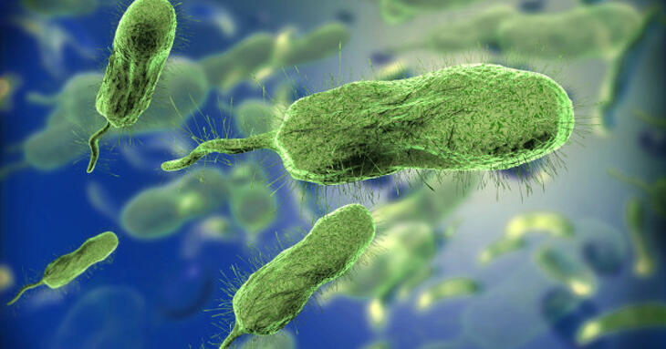 Hátborzongató módszerrel fenyegeti veszélyes AI videók hada az egészségünket