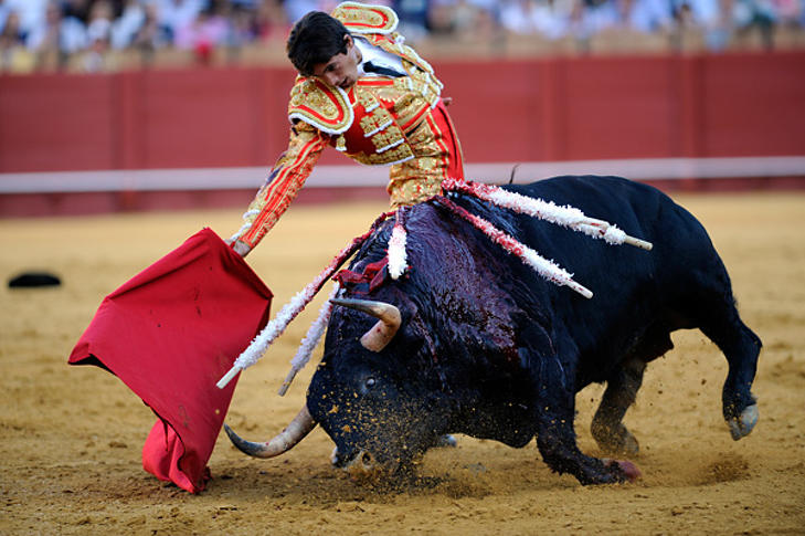 Spanyolországot megosztja a bikaviadal intézménye. Fotó: Pixabay