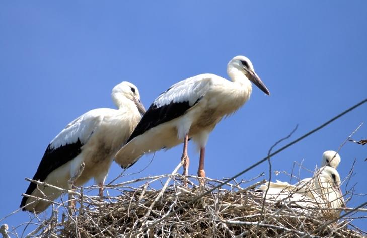 Asszonyhitel: akár 8 millió forintot is bukhatunk, ha elszámítjuk magunkat