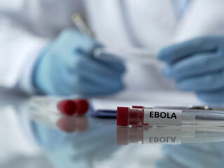 Kell-e félnünk az új vírustól?