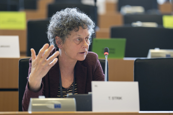 Tineke Strik