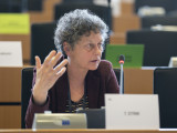 Tineke Strik