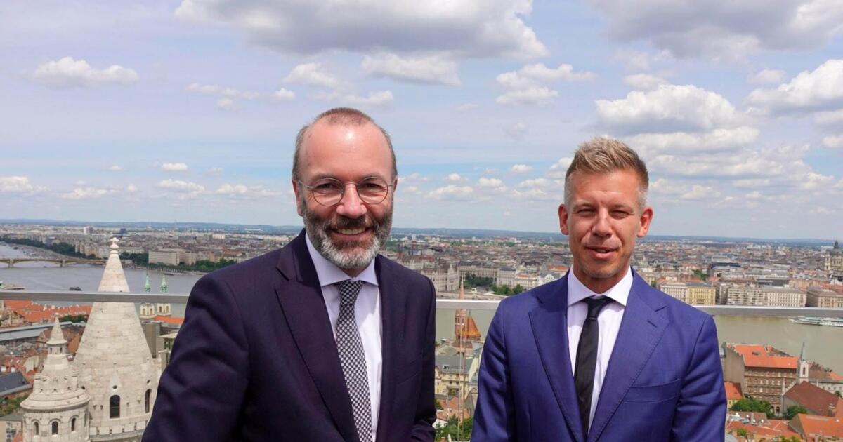 Magyar Péter levelet kapott Manfred Webertől Ukrajna ügyében