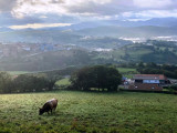 El Camino