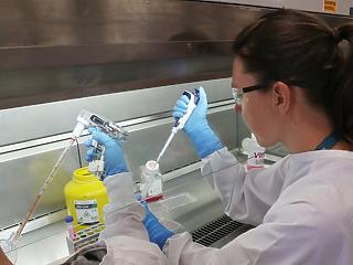 Orrsprayben találtak fontos hatóanyagot a koronavírus kezeléséhez pécsi és osztrák kutatók