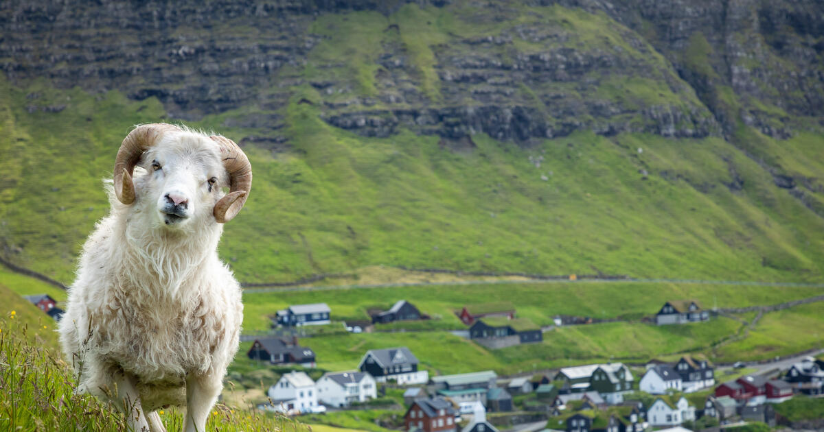 Ír kocsmák, feröeri birkák és perui keselyűk –  Világjáró top 10 2025
