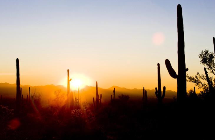 Naplemente a Saguaro Nemzeti Parkban