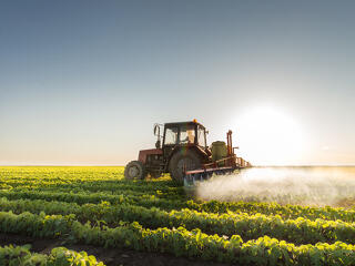 Életjelek? Óriási gödröt ásott, most kecmereghet ki belőle a traktorpiac
