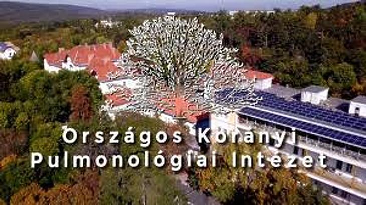 Az Országos Korányi Pulmonológiai Intézetnek van a legkisebb adóssága. Fotó: Facebook