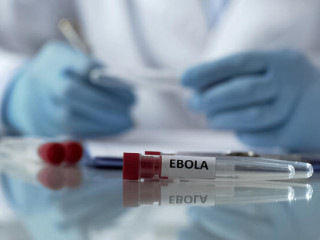 Már három ebola-vakcinán dolgoznak gőzerővel