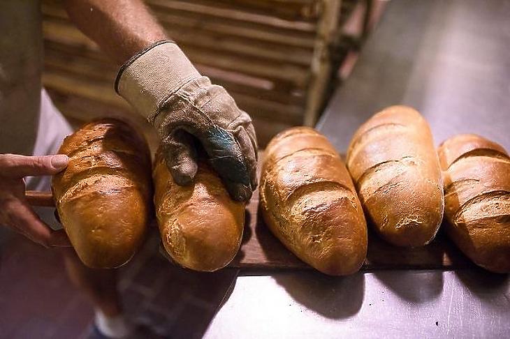 2 milliárddal csökkent a hatvani gigapéküzem költségvetése, így is 15 milliárdból épül meg