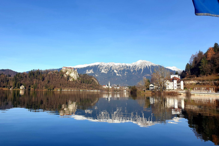 Bled