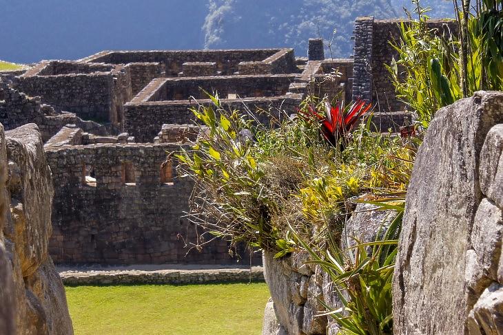 Machu Picchu részlete, trópusi növényekkel