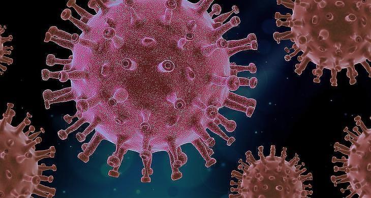 6390 az új fertőzött, elhunyt 195 beteg