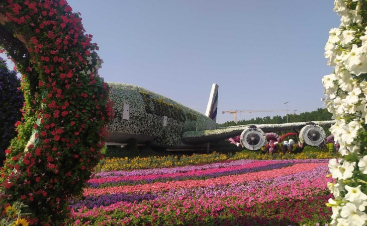 Az Emirates repülője is virágokban úszik. Fotó: Privátbankár/Kollár Dóra