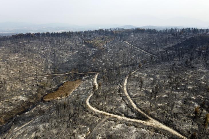 Kiégett erdős terület. Fotó: MTI/AP/Michael Varaklasz