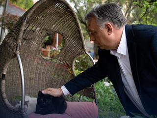 A nap képe: gyengéd pillanatában fotózták le Orbán Viktort