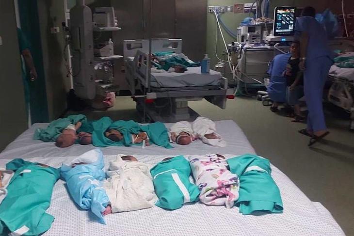 Koraszülött babák az al-Sífa kórházban Gázában egy 2023. november 14-én közzétett felvételen. Fotó: Twitter/TRT World Now 