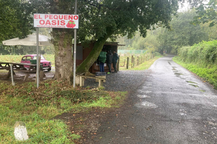 A kis oázis, avagy szuvenírárus az út mentén 