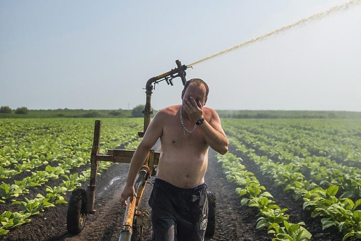 Jól húz a magyar agrárgazdaság