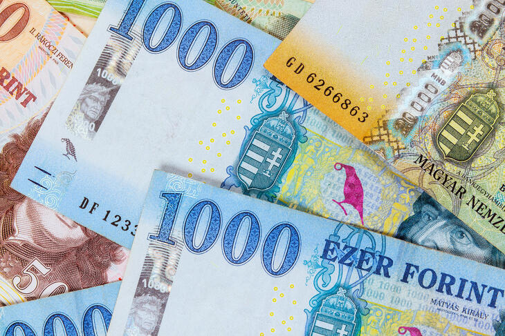 Falnak ütközött a forint?