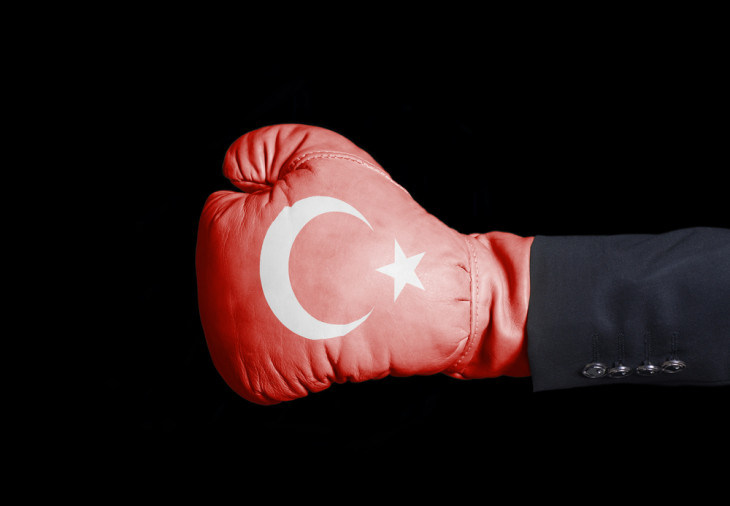 Erdogan ideges