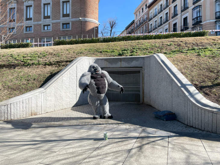  Óriásgorillából sosem elég - ez megy a szimpla kéregetés helyett