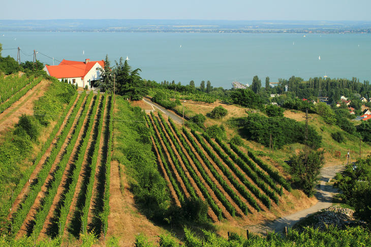 A magyar tenger népszerű a német ingatlanvásárlók körében. Fotó: Depositphotos